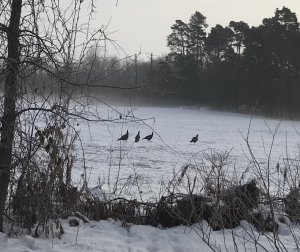 E0888FFC-25C8-4D75-AC9F-C46C6E9BC497.jpg