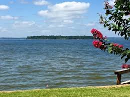 Pine Island.jpg