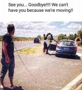 we're moving.jpg