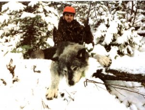 Juni'e_wolf.jpg