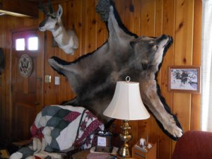 wolf_wall.jpg