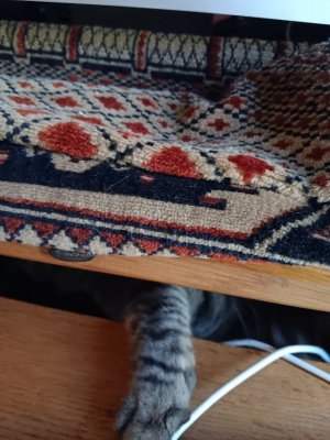 Reaching for Keyboard.jpg