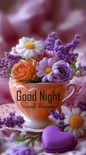 3d7727fe80dff9a508b55b9ecd9de979~2.jpg