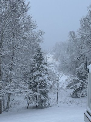 IMG_8096.jpeg