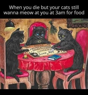 FB_IMG_1742984173590.jpg