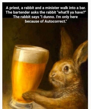 rabbit5.jpg