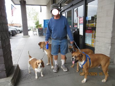 2025-03-27 walk with Zero.jpg