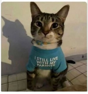 1000010793.jpg
