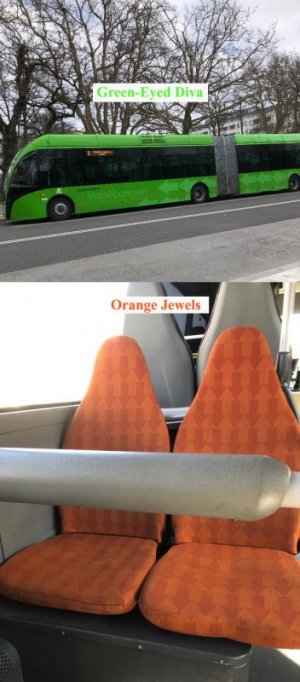 Green Eyed Diva - Orange Jewels .jpg
