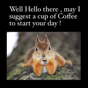 Coffee hello .jpeg