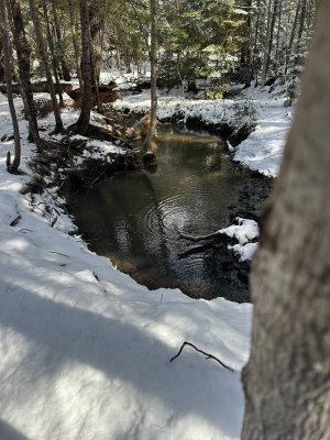 IMG_8107.jpeg