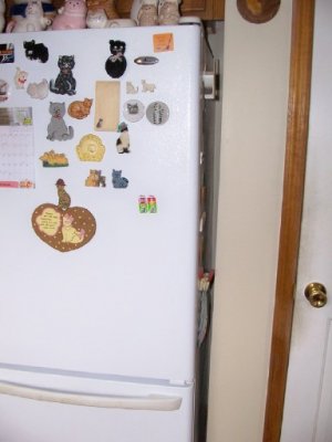 refrigerator3.jpg