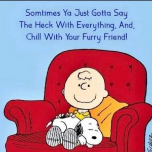 chill.jpg