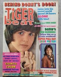 tigerbeat.jpg