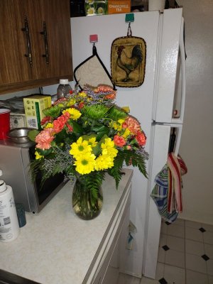 IMG_20250322_181634509.jpg