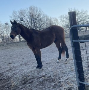 IMG_2397.jpeg IMG_2397.jpeg