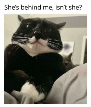 1000010791.jpg