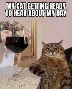 FB_IMG_1743085962847.jpg