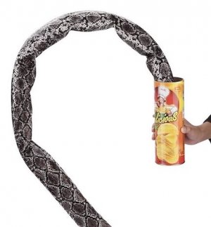 Canned Snake.jpg