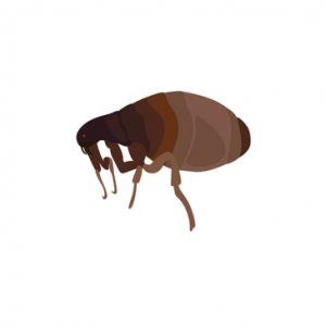 critterkill-tiles-06.jpg