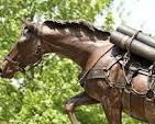 Sergeant Reckless: The Korean War Horse and U.S. Marine ...