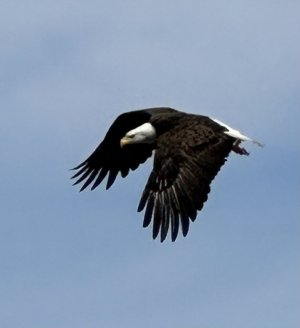 IMG_8146.jpeg