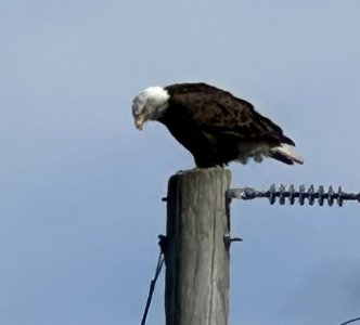 IMG_8141.jpeg
