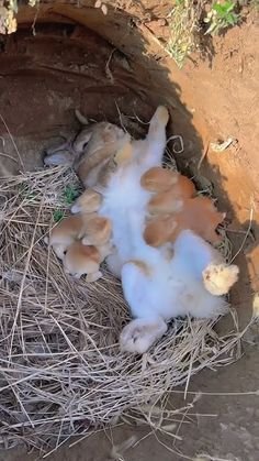 caa55629e6be308fda57030d5ce0ae23.jpg caa55629e6be308fda57030d5ce0ae23.jpg