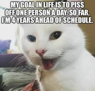 0.jpg