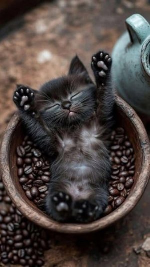 coffee.jpg