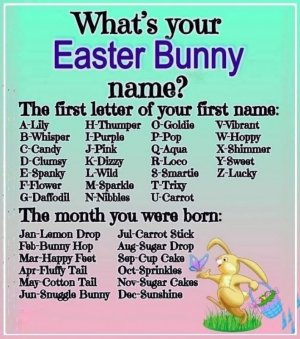 FB_IMG_1743080603907.jpg