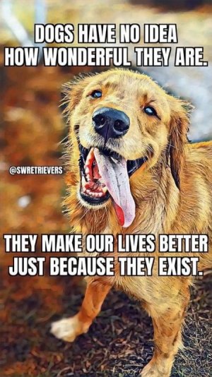 359d55514a230e80dea765f650a44aa6.jpg
