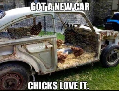 chicksfunny.jpg