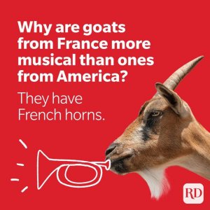 goat5.jpg