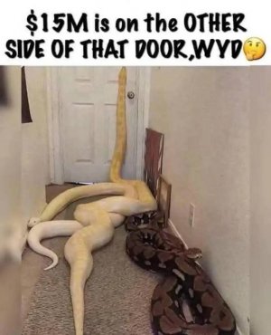 FB_IMG_1743386490362.jpg
