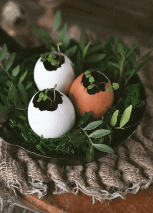 tumblr_6673821aad6f74521baf9d4e4b0fc580_d20e2338_500.gif.gif tumblr_6673821aad6f74521baf9d4e4b0fc580_d20e2338_500.gif.gif