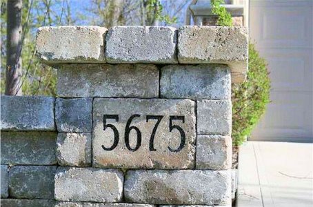 Number 5675 @.jpg