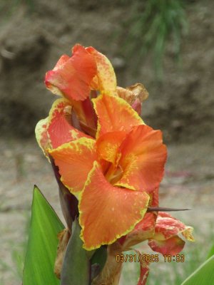 IMG_8660.JPG
