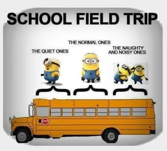 IMG_1002.jpeg