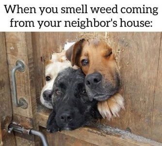 FB_IMG_1743463805927.jpg