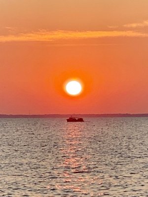 IMG_1551.jpeg