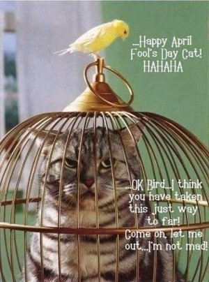 FB_IMG_1743544249658.jpg