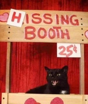 hissingboothcatjoke.jpg