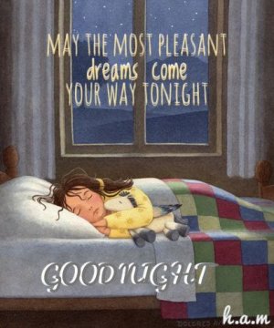 gn6.jpg