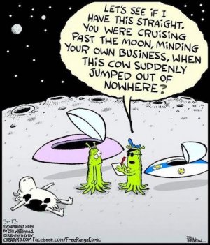 Cow Jumped Over.jpeg