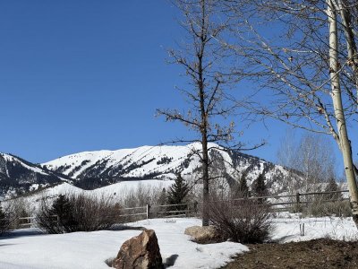sunnybaldmtn.jpg