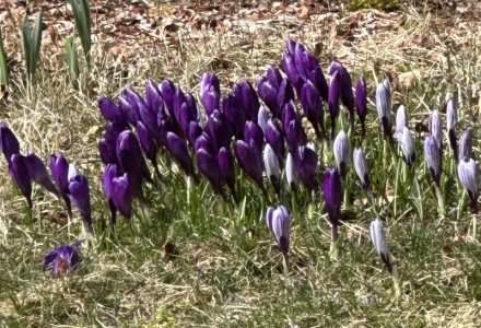 IMG_8169.jpeg