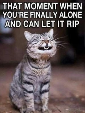 FB_IMG_1743562318917.jpg
