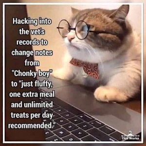 FB_IMG_1743647239449.jpg
