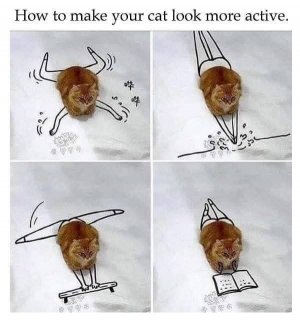 FB_IMG_1743646938083.jpg